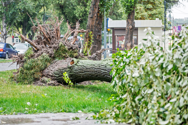 Stormseizoen begonnen, materiële schade valt mee